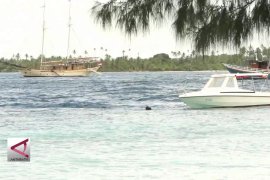Sejumlah pendektesi tsunami di Papua rusak dan dicuri