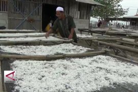 Usaha teri asin warga Pulo Panjang