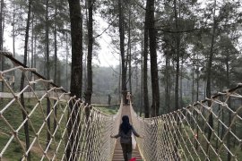 Destinasi digital yang diburu para milenial