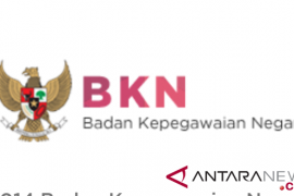 Cek Sekarang! Hasil Seleksi PPPK 2024 Tahap 2 Mulai Diumumkan di sscasn.bkn.go.id