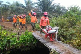 Manggala Agni Berjibaku Lawan Karhutla Rohil Page 6 Small