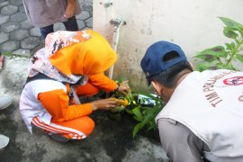 Tim Pokjanal DBD Sleman lakukan PSN di Ambarukmo