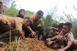 Penanaman Pohon Hari Bakti Rimbawan Page 1 Small