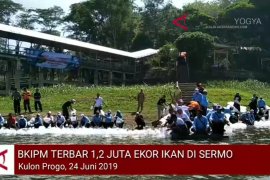 VIDEO: BKIPM tebar 1,2 juta benih ikan di Waduk Sermo