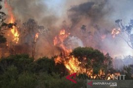 Karhutla akibat pembukaan lahan pertanian