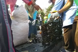 Kerang Hijau Jadi Senjata Alami Jernihkan Teluk Jakarta Antara