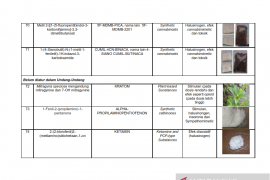Daftar nama zat NPS yang sudah teridentifikasi di Indonesia Tahun 2019 Page 13 Small