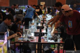Pameran dan kompetisi Aquascape