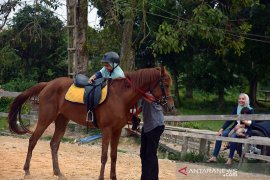 Melihat aksi Joki Cilik di Pekanbaru Page 5 Small