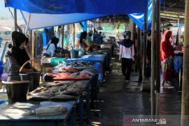 Harga ikan turun Page 1 Small