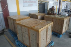 Ribuan burung prenjak dilepasliarkan