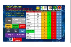 Data pasien positif COVID-19 di Papua Page 1 Small