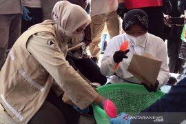 Mensos bantu siapkan makanan pengungsi banjir di Jember