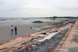 Abrasi Pantai Wisata Selat Baru Page 3 Small