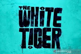 No cinema, no problem: Films to watch from home in 2021