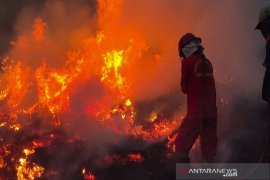 KARHUTLA DI TAMAN NASIONAL DI KABUPATEN BOMBANA Page 1 Small