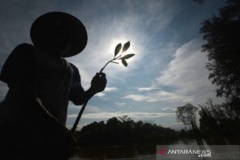 Rehabilitasi Bekas Penambangan Pasir Page 2 Small