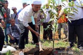 Gerakan Menanam Buah di Dumai Page 1 Small