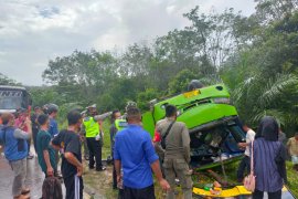 Bus terbalik di Jalinsum Mesuji, Lampung Page 2 Small