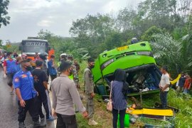 Bus Terbalik di Jalinsum Mesuji, Lampung Page 3 Small