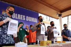 Pelaku ilegal logging di Dumai diringkus Page 3 Small