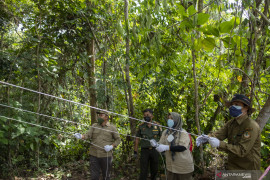 Pelepasliaran Siamang Di Kawasan Suaka Margasatwa Dangku Page 3 Small