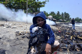 Limbah Minyak Cemari Laut Lampung Page 1 Small