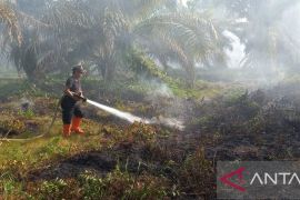 Tujuh hari terakhir ada empat kebakaran hutan-lahan di Agam