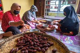 Produksi Tomat Rasa Kurma Khas Bandungan Page 2 Small