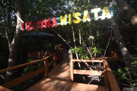 Wisata Hutan Mangrove di Donggala Page 2 Small