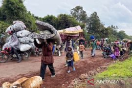 Pertempuran pecah di Kibumba, warga Kongo mengungsi ke perbatasan Rwanda  Rabu, 25 Mei 2022 09:02 WIB Page 1 Small