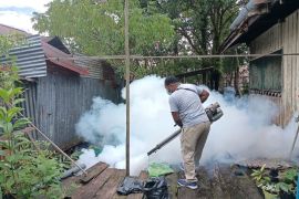 37 orang terjangkit, Dinkes nyatakan KLB DBD di Kabupaten Asmat-Papua