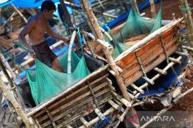 DAMPAK NAIKNYA BBM HARGA TEPUNG SAGU NAIK Page 1 Small