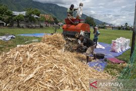 Target Swasembada Jagung di 2023 Page 1 Small