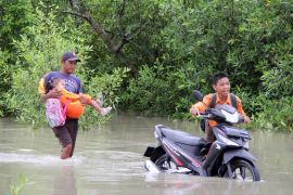 FOTO - Banjir rob di Rokan Hilir Page 1 Small