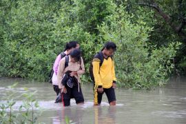 FOTO - Banjir rob di Rokan Hilir Page 2 Small