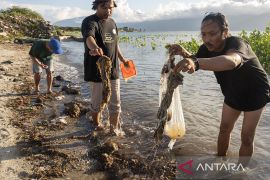 Riset Pencemaran Mikroplastik di Teluk Palu Page 3 Small