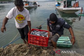 Keterlibatan BUMN di Industri Kelautan dan Perikanan  Page 1 Small