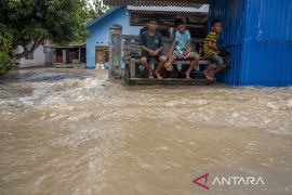 Banjir Luapan Sungai di Pakuli Utara Sigi Page 1 Small