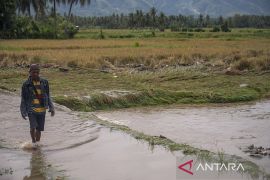 Banjir Luapan Sungai di Pakuli Utara Sigi Page 4 Small