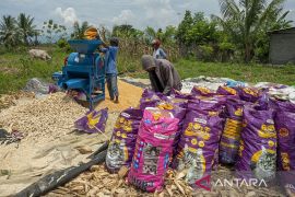 Jasa Pemipilan Jagung Keliling di Sigi Page 1 Small