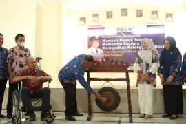 Bupati Lampung Selatan buka workshop tematik tahun Tangguh-Siap