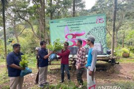 LKBN ANTARA IKUT LESTARIKAN HUTAN Page 1 Small