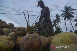 Petani Pilih Kelapa Untuk Koprahttps://img.antaranews.com/cache/270x180/2023/02/16/Antara-Kelapa-Untuk-Kopra-160223-bmz-4.jpg Page 2 Small