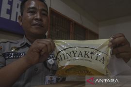 Distribusi Terbatas Minyakkita di Palu Page 2 Small