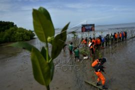 Tanam mangrove HUT ke-51 Basarnas di Makassar Page 1 Small