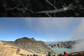 TWA Ijen ramai dikunjungi wisatawan Page 1 Small