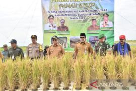 Kalsel perluas uji coba teknologi padi apung