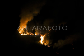 Kebakaran lahan gambut di Kalimantan Selatan Page 1 Small