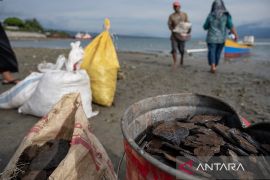 Pekerja pengumpul karat besi Page 2 Small